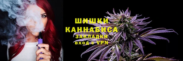 PSILOCYBIN Лагань