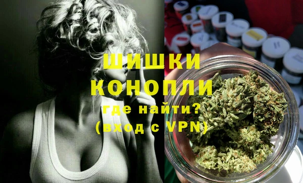 ПСИЛОЦИБИНОВЫЕ ГРИБЫ Ладушкин