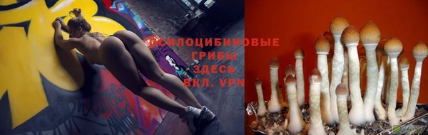 ПСИЛОЦИБИНОВЫЕ ГРИБЫ Ладушкин