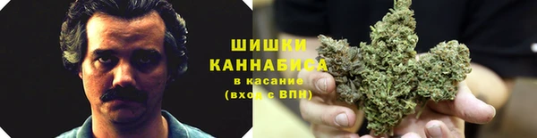 PSILOCYBIN Лагань