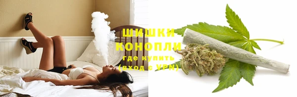 PSILOCYBIN Лагань