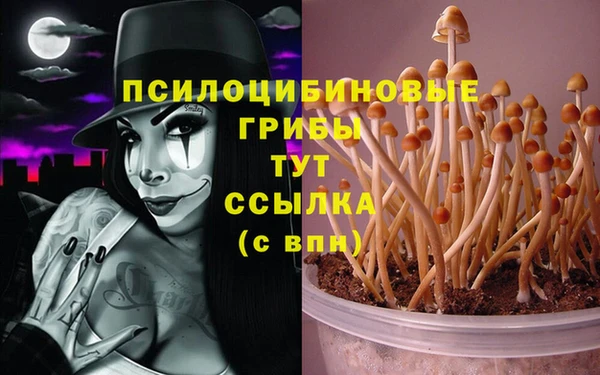 PSILOCYBIN Лагань