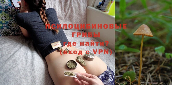 PSILOCYBIN Лагань