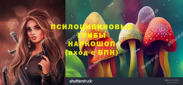 ALPHA PVP Лабытнанги