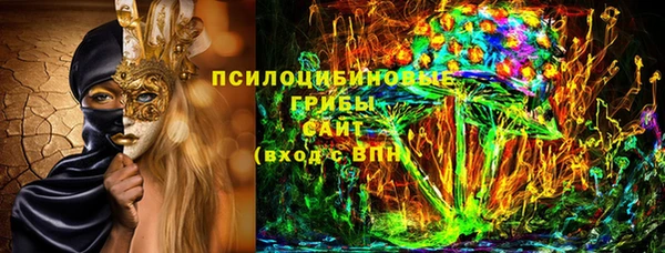 ПСИЛОЦИБИНОВЫЕ ГРИБЫ Ладушкин